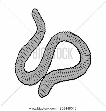 A worm, a boneless animal. Earthworm single icon in monochrome style vector symbol stock isometric illustration .