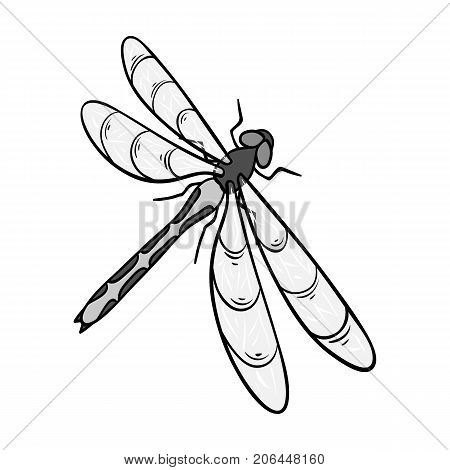 A dragonfly, a predatory insect.Dragonfly flying invertebrate insect single icon in monochrome style vector symbol stock isometric illustration .