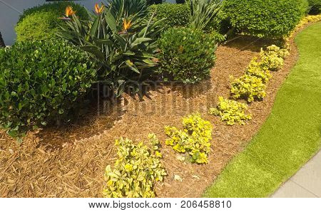 Yard landscape design with mulch for lawn care.