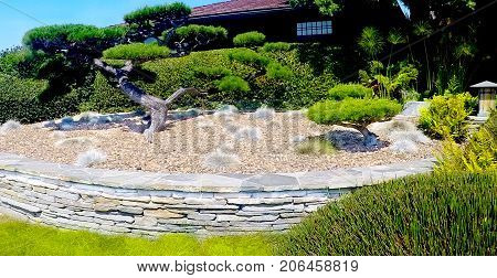 Landscaping desert oasis made with pebble rocks, landscape trees