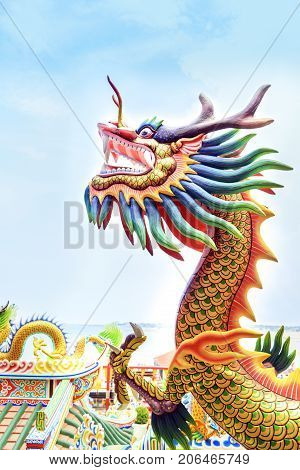 colorful dragon statue on the roof chainese temple