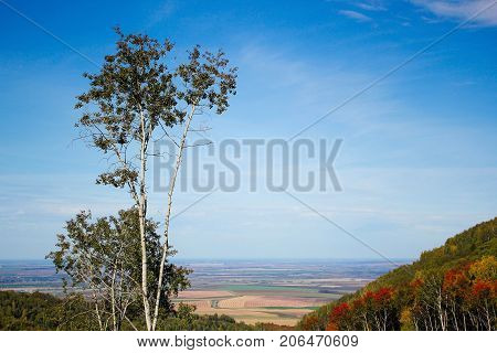 Beautiful landscape with trees and a beautiful view