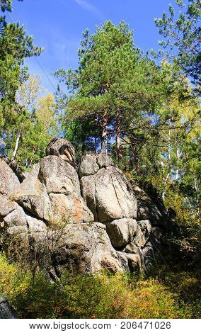 A secret and unusual nature with rocks and trees