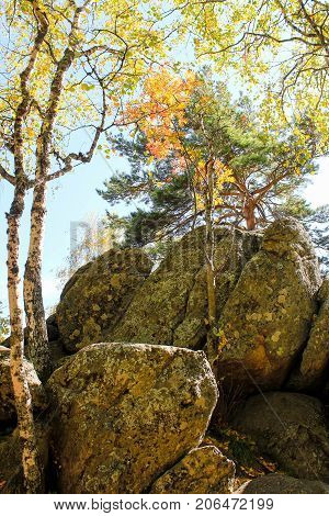 A secret and unusual nature with rocks and trees
