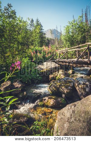 Old Wooden Bridge in Forest in Velicka Valley Leading to Gerlachovsky Peak High Tatras Slovakia