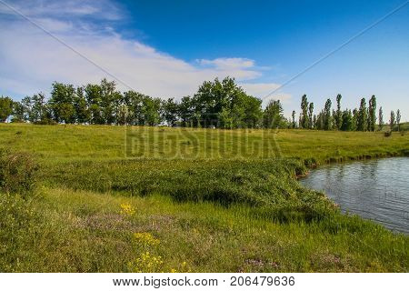 Ukrainian Steppe Near The Town Of Polohy