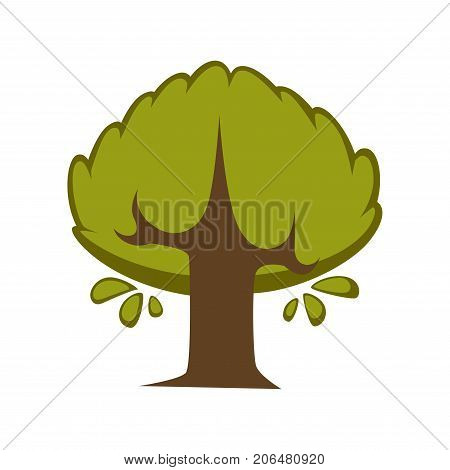 Green tree and tree leaf icon or logo template. Vector isolated cartoon maple, oak or elm and maple deciduous forest symbol for eco environment or horticulture planting icon
