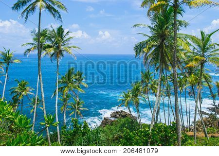 Tropical background - secret beach in Mirissa, Sri Lanka