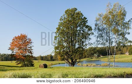 Countruside landscape in the autumn time, Europe