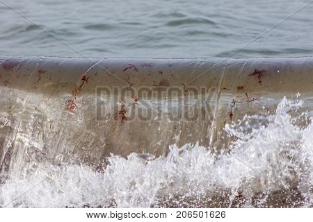 Breaking sea wave carrying red algae seaweed plants and particles in suspension. Marine flora particulate carried by ocean water.