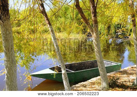Autumn scenery near a lake with trees and yellow leaves