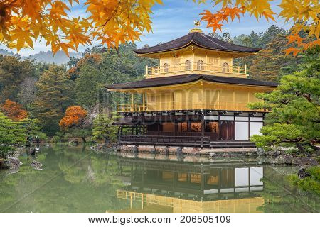 Japan Autumn season of Kinkakuji Temple (The Golden Pavilion) in Kyoto Japan.