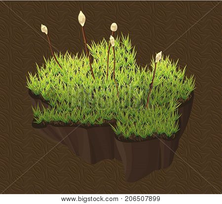 Vector moss on the ground close up.