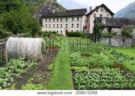 Vegetable Garden In Front Of Old House At Cevio