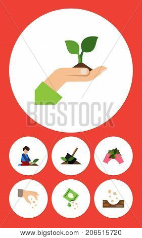 Flat Icon Seed Set Of Florist, Seed, Sow And Other Vector Objects