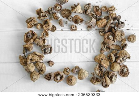 Dry Mushrooms Isolated On White Background. Selective Focus