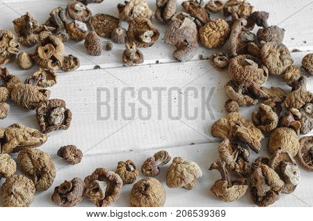 Dry Mushrooms Isolated On White Background. Selective Focus