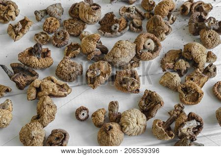 Dry Mushrooms Isolated On White Background. Selective Focus