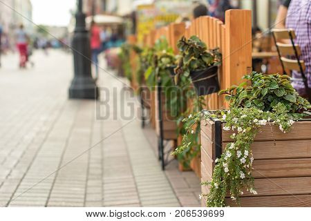 Flower beds in flowerbeds near a cafe on the street of a European city