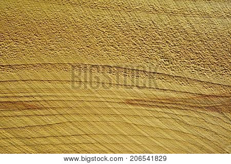 Wood Texture Background