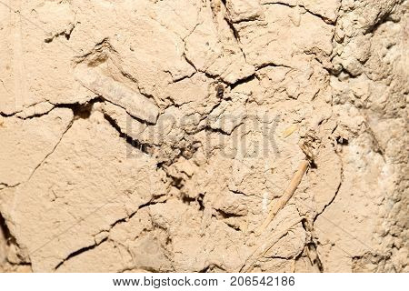 background of clay wall . Photo of an abstract texture