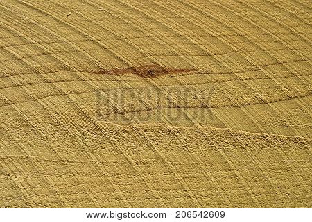 Wood Texture Background