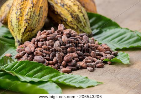 Raw Cocoa Beans And Cocoa Pod On A Wooden Surface