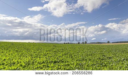 picture of a clouded sky in rural agricultural ambiance