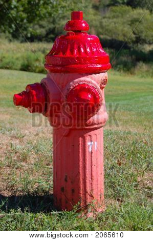 Fire Hydrant