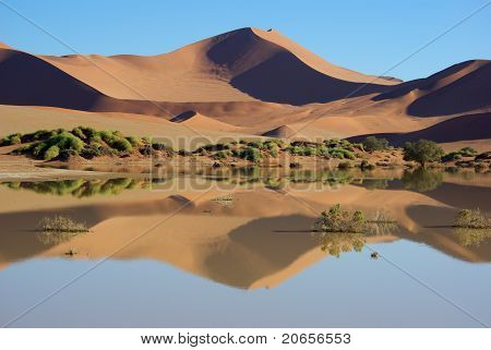 Rød sanddune spejles i vand,