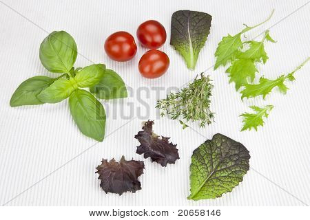 Laitue et fines herbes
