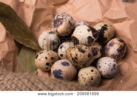 Closeup of wholesome speckled quail eggs, aromatic green twigs of rosemary, dried up bay leaves on a piece of grocery paper, ingredients for healthy diet on a light paper background.