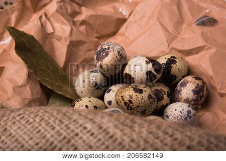 Closeup of wholesome speckled quail eggs, aromatic green twigs of rosemary, dried up bay leaves on a piece of grocery paper, ingredients for healthy diet on a light paper background.