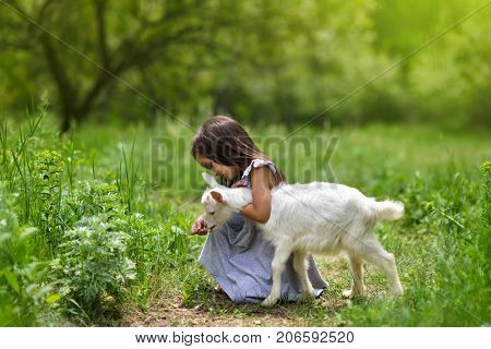 Little girl plays and hugs goatling in country, summer nature outdoor. Cute kid with baby animal, countryside outdoor portrait, forest, trod, glade background. Friendship of child and yeanling
