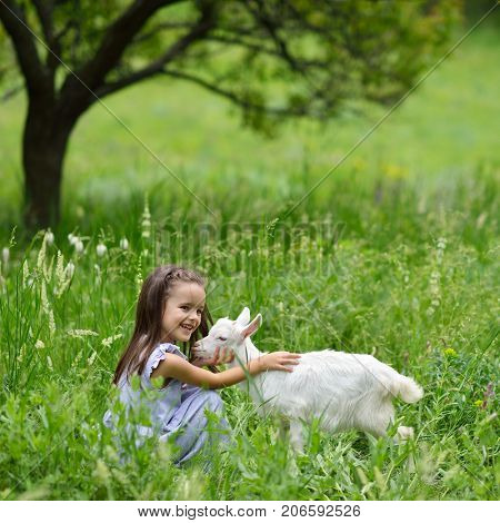 Little girl plays and hugs goatling in country, summer nature outdoor. Cute kid with baby animal, countryside outdoor portrait, forest, trod, glade background. Friendship of child and yeanling
