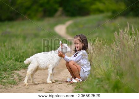 Little girl plays and huhs goatling in country, spring or summer nature outdoor. Cute kid with baby animal, forest, trod, glade background. Friendship of child and yeanling, image toned.