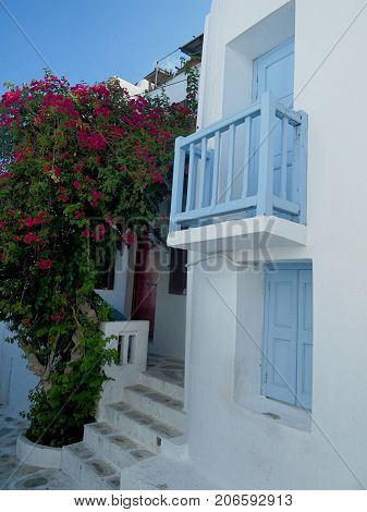 Blue and White house in Mykonos Greece with flowering garden