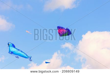 Bright Kites Floating In The Blue Sky, Kite Festival, Air