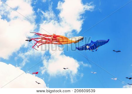 Colorful Kite Free To Fly In The Clear Sky, A Beautiful Summer Day,