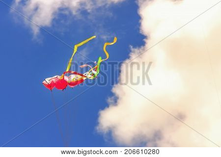 Bright Kites Floating In The Blue Sky,