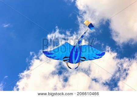 Bright Kites Floating In The Blue Sky,