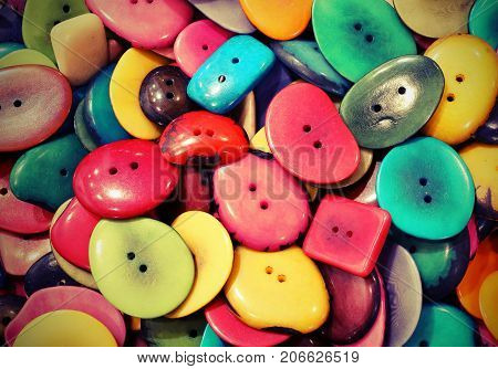 Buttons Made With Dried Tropical Plants Seeds