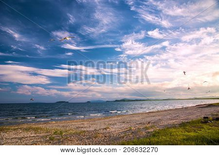a beach on the sea, sand and waves, seagulls fly over the water. Sunset