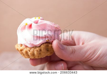 pink cupcake in a hand. close up