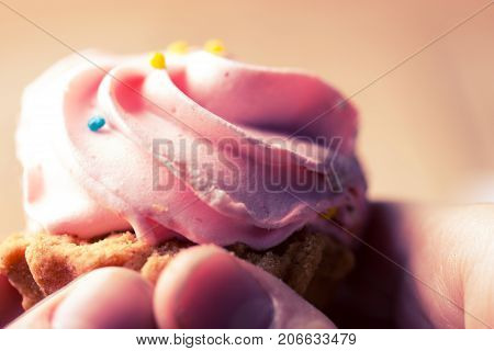 pink cupcake in a hand. close up