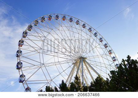 A Colourful Ferris Wheel. Front View