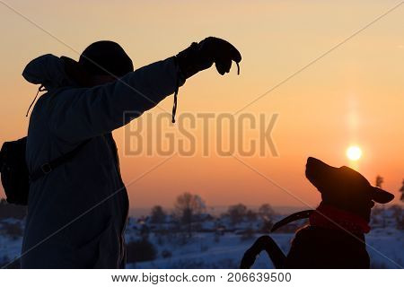 Young Man With His Dog
