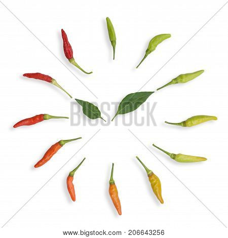 Development colors of chilli peppers isolated on white background.Development time concept.