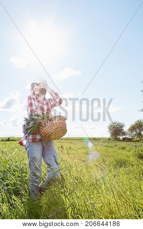 Girl With A Basket Of Flowers In The Field.