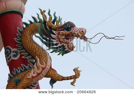 Drago in Thailandia